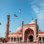 Guided Tours - Delhi